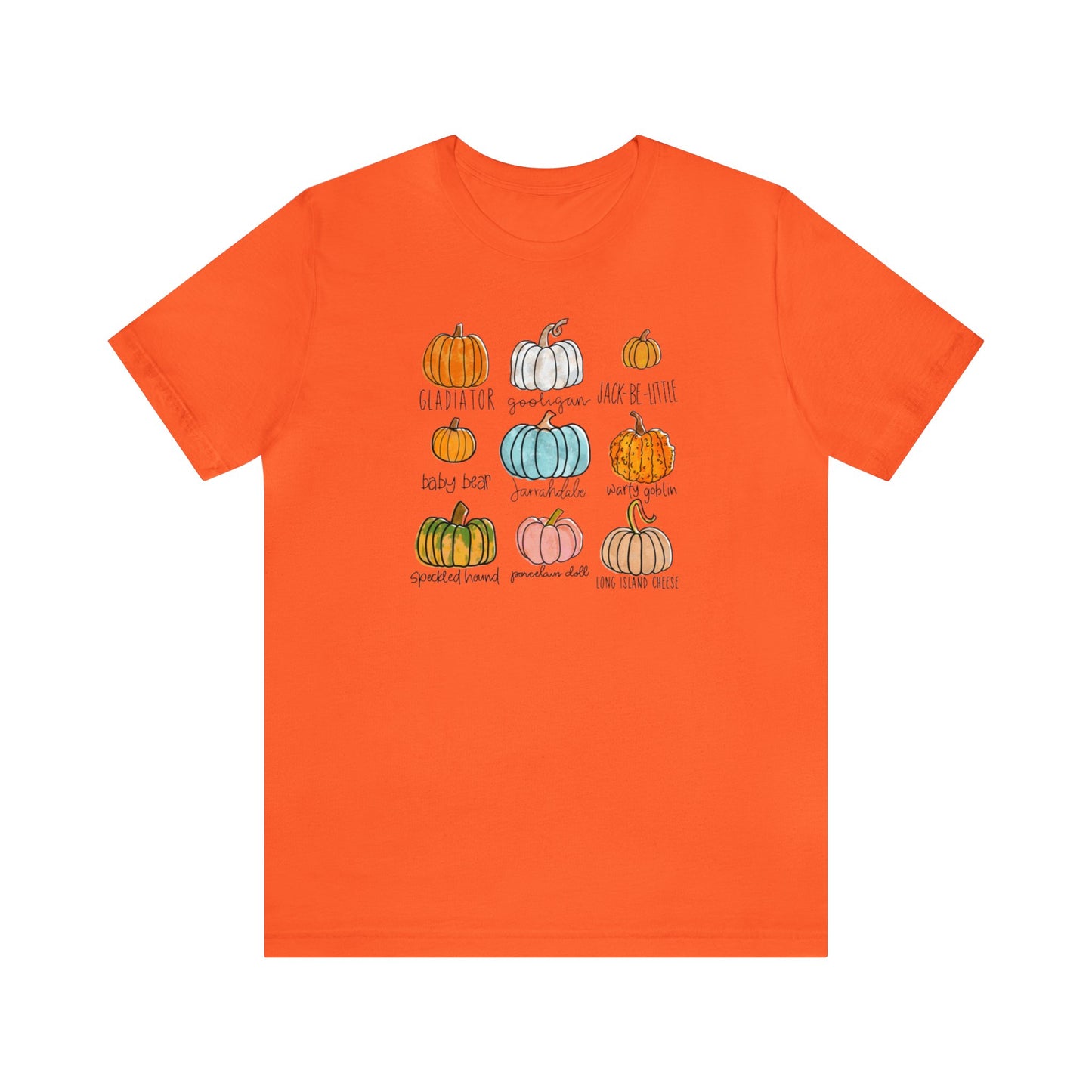 Pumpkin Variety Shirt, Fall Pumpkin Shirt, Cute Fall Shirt, Thanksgiving Shirt, Shirt For Women, Teacher Fall Shirt, Autumn Shirt, Fall Tee