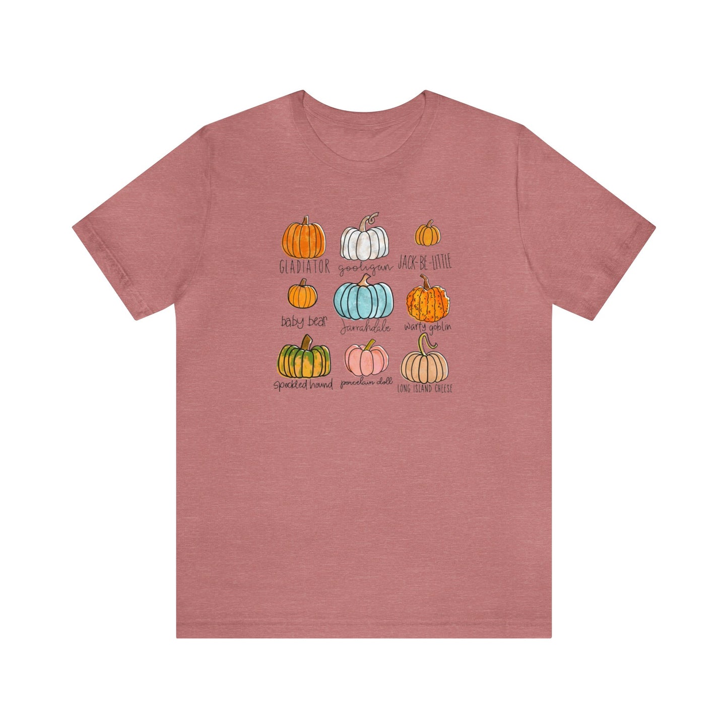 Pumpkin Variety Shirt, Fall Pumpkin Shirt, Cute Fall Shirt, Thanksgiving Shirt, Shirt For Women, Teacher Fall Shirt, Autumn Shirt, Fall Tee