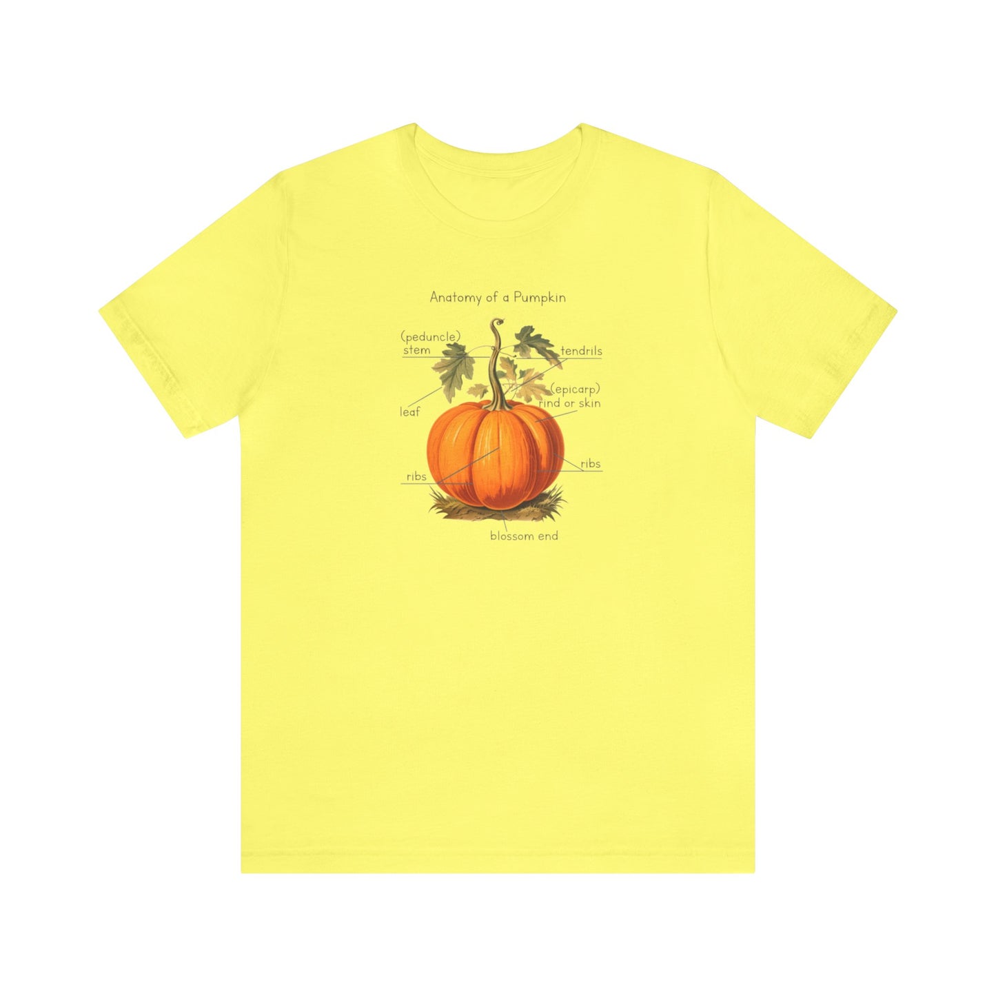 Anatomy of A Pumpkin Shirt, Fall Pumpkin Shirt, Cute Fall Shirt, Thanksgiving Shirt, Graphic Tee For Women, Teacher Fall Shirt, Autumn Shirt