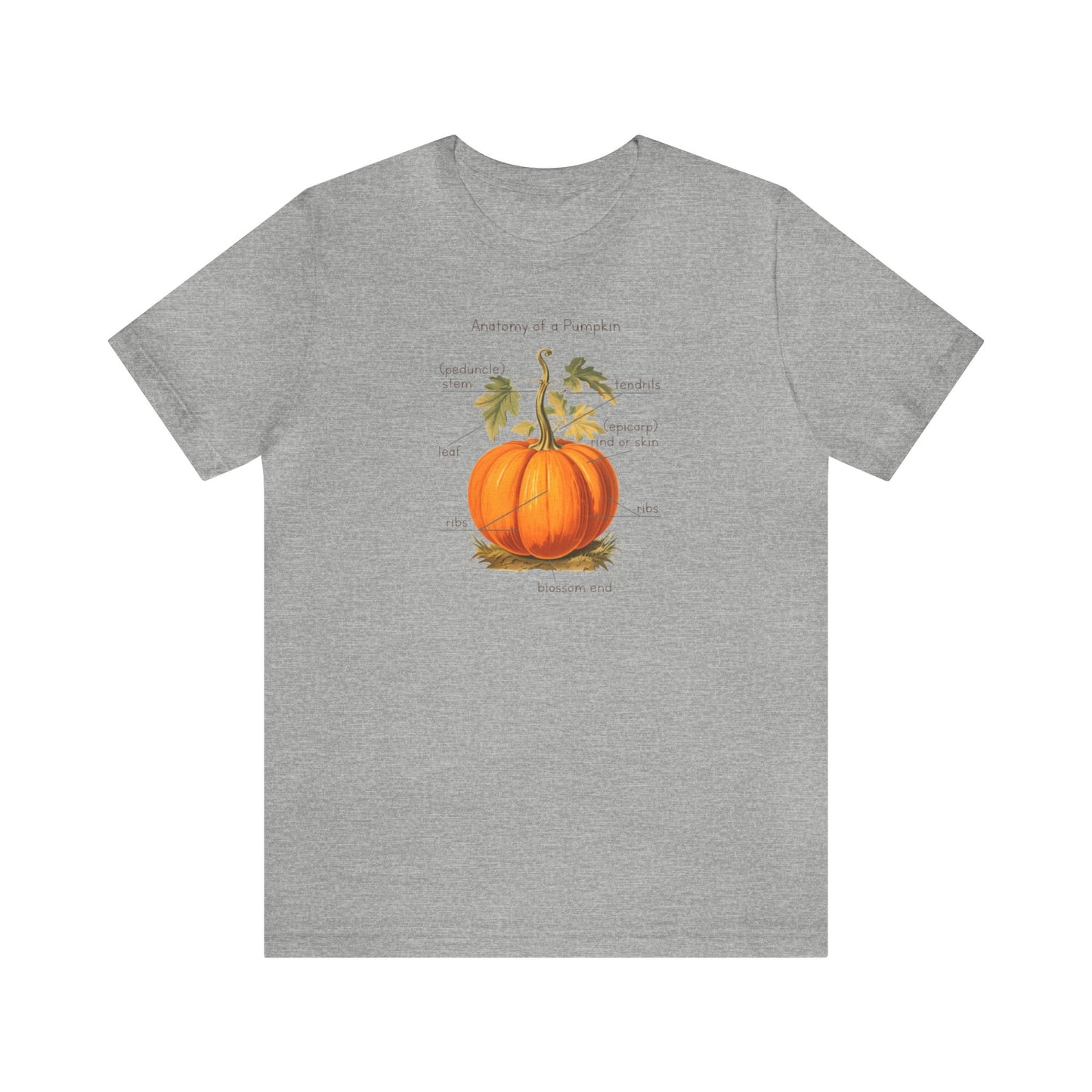 Anatomy of A Pumpkin Shirt, Fall Pumpkin Shirt, Cute Fall Shirt, Thanksgiving Shirt, Graphic Tee For Women, Teacher Fall Shirt, Autumn Shirt