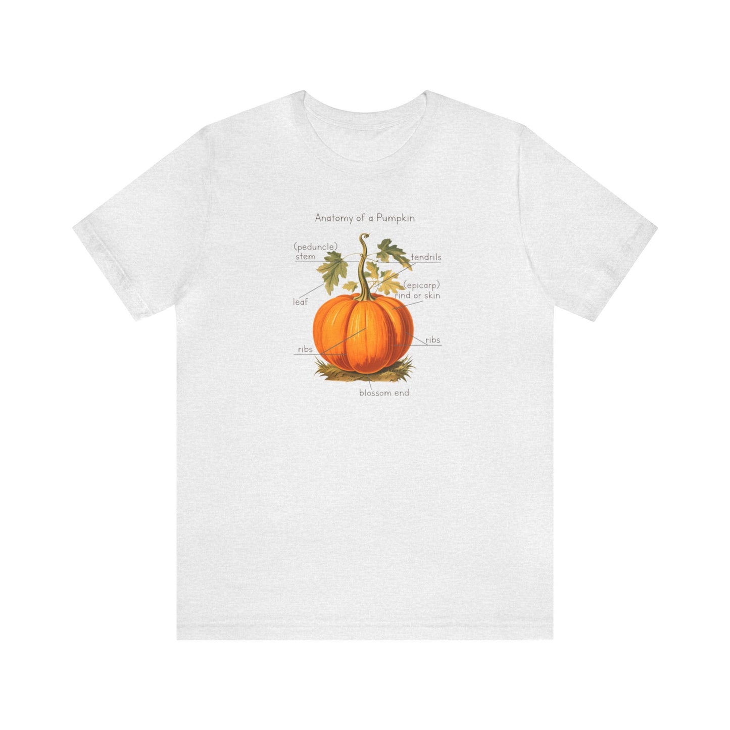 Anatomy of A Pumpkin Shirt, Fall Pumpkin Shirt, Cute Fall Shirt, Thanksgiving Shirt, Graphic Tee For Women, Teacher Fall Shirt, Autumn Shirt