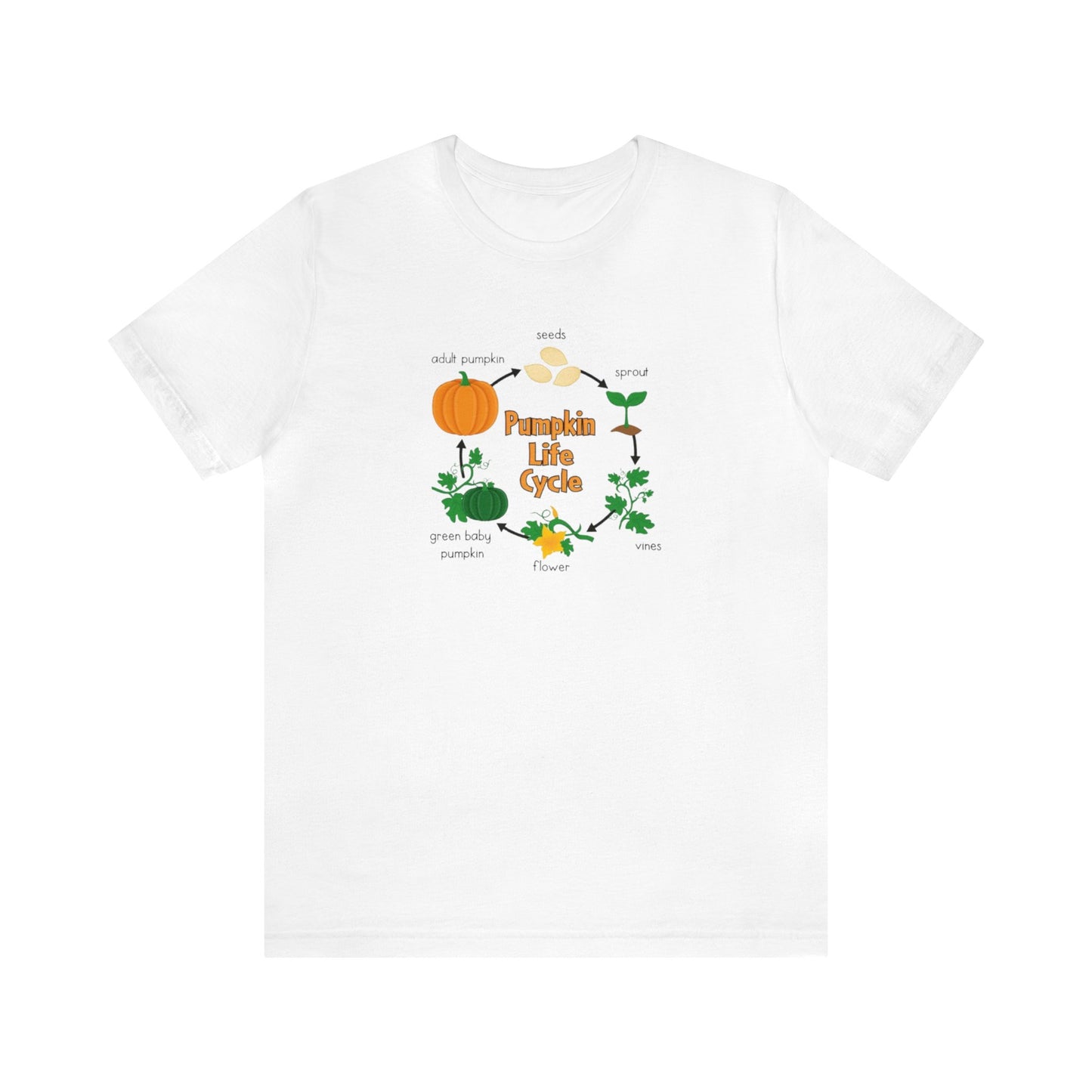 Pumpkin Life Cycle Shirt, Fall Pumpkin Shirt, Cute Fall Shirt, Thanksgiving Shirt, Shirt for Women, Teacher Fall Shirt, Autumn Shirt, Fall T