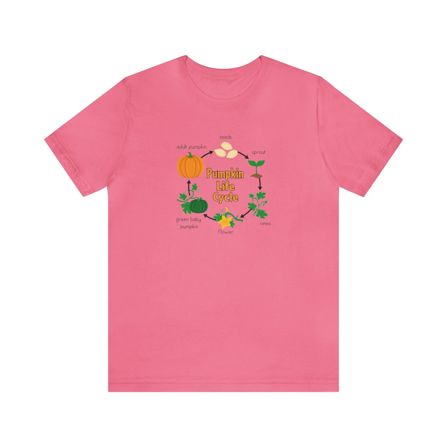 Pumpkin Life Cycle Shirt, Fall Pumpkin Shirt, Cute Fall Shirt, Thanksgiving Shirt, Shirt for Women, Teacher Fall Shirt, Autumn Shirt, Fall T
