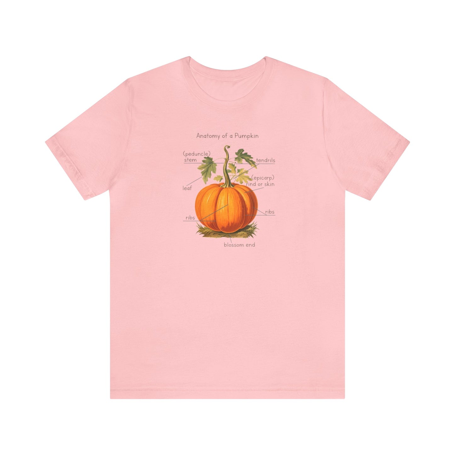 Anatomy of A Pumpkin Shirt, Fall Pumpkin Shirt, Cute Fall Shirt, Thanksgiving Shirt, Graphic Tee For Women, Teacher Fall Shirt, Autumn Shirt