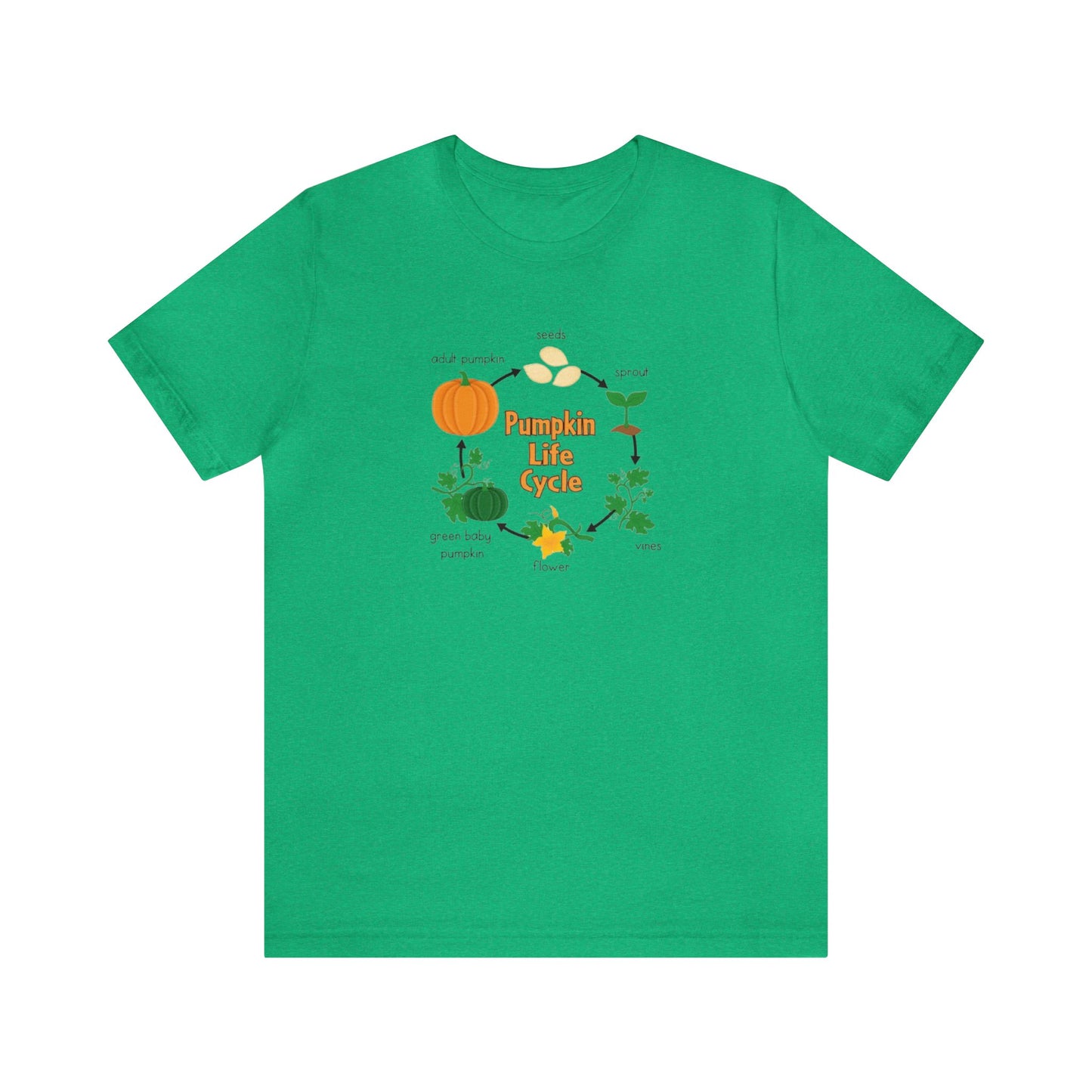 Pumpkin Life Cycle Shirt, Fall Pumpkin Shirt, Cute Fall Shirt, Thanksgiving Shirt, Shirt for Women, Teacher Fall Shirt, Autumn Shirt, Fall T
