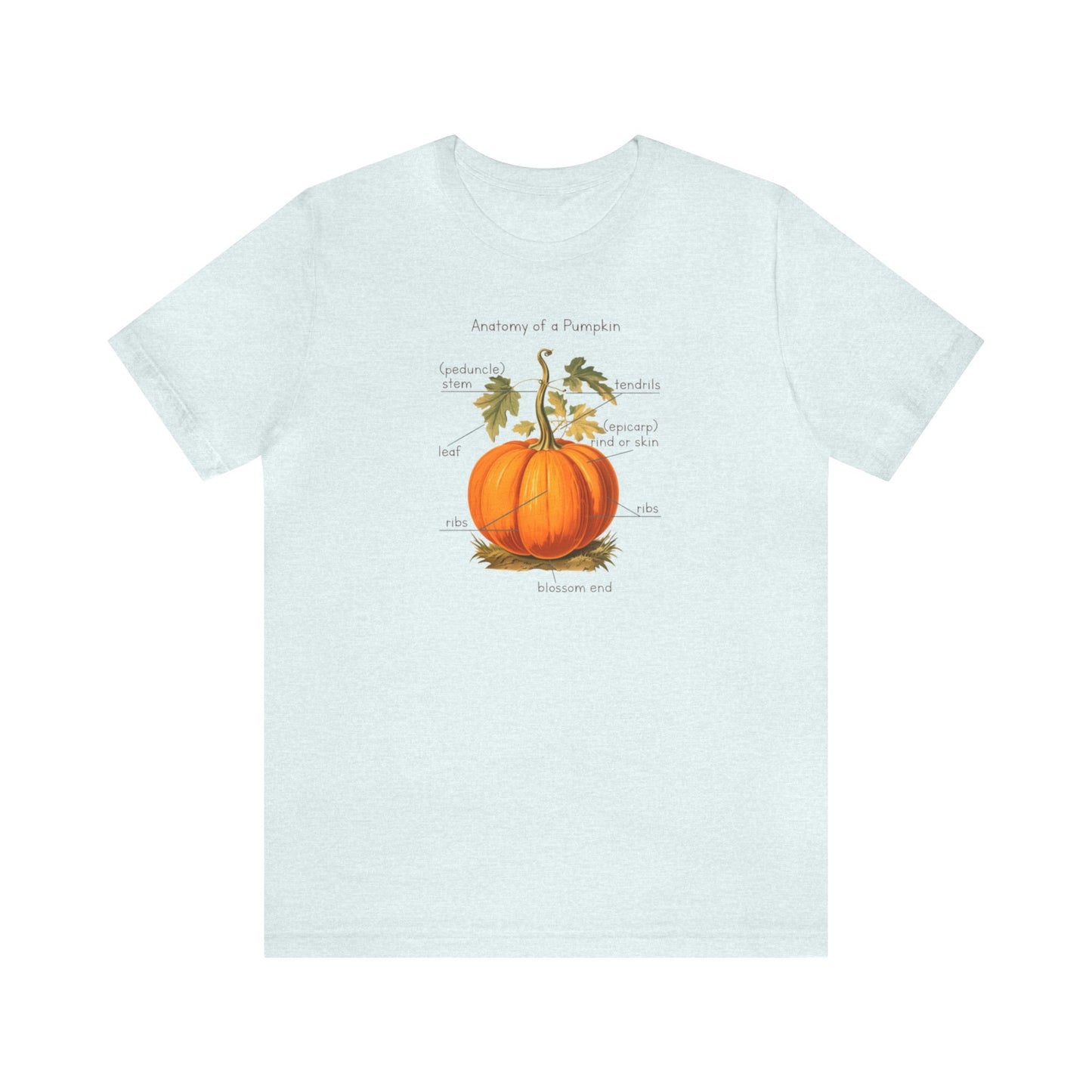 Anatomy of A Pumpkin Shirt, Fall Pumpkin Shirt, Cute Fall Shirt, Thanksgiving Shirt, Graphic Tee For Women, Teacher Fall Shirt, Autumn Shirt
