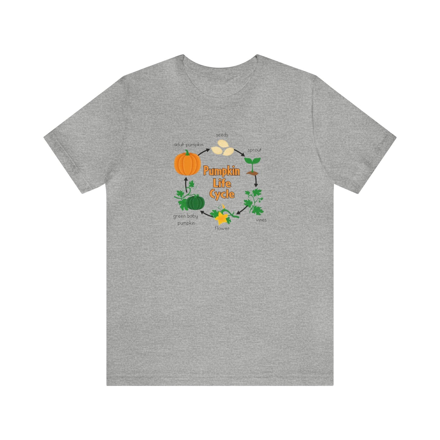 Pumpkin Life Cycle Shirt, Fall Pumpkin Shirt, Cute Fall Shirt, Thanksgiving Shirt, Shirt for Women, Teacher Fall Shirt, Autumn Shirt, Fall T