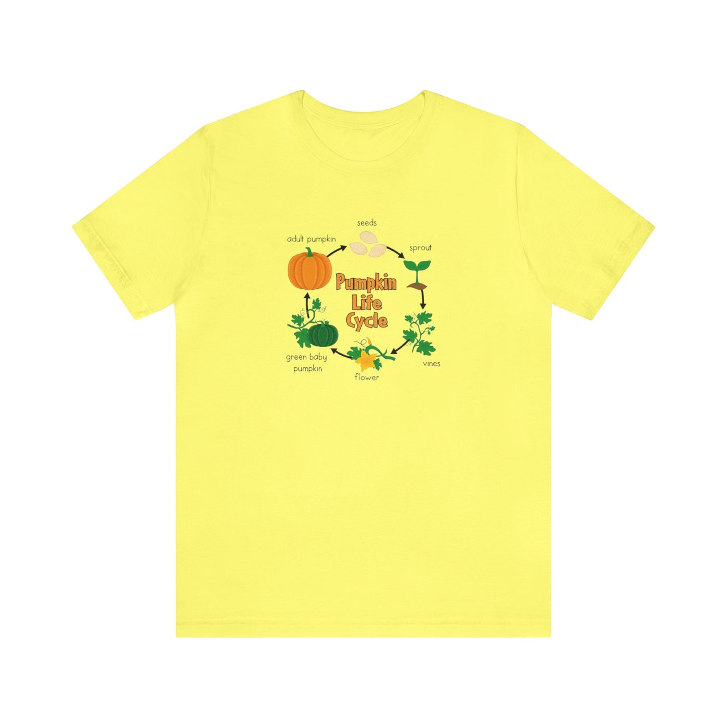 Pumpkin Life Cycle Shirt, Fall Pumpkin Shirt, Cute Fall Shirt, Thanksgiving Shirt, Shirt for Women, Teacher Fall Shirt, Autumn Shirt, Fall T