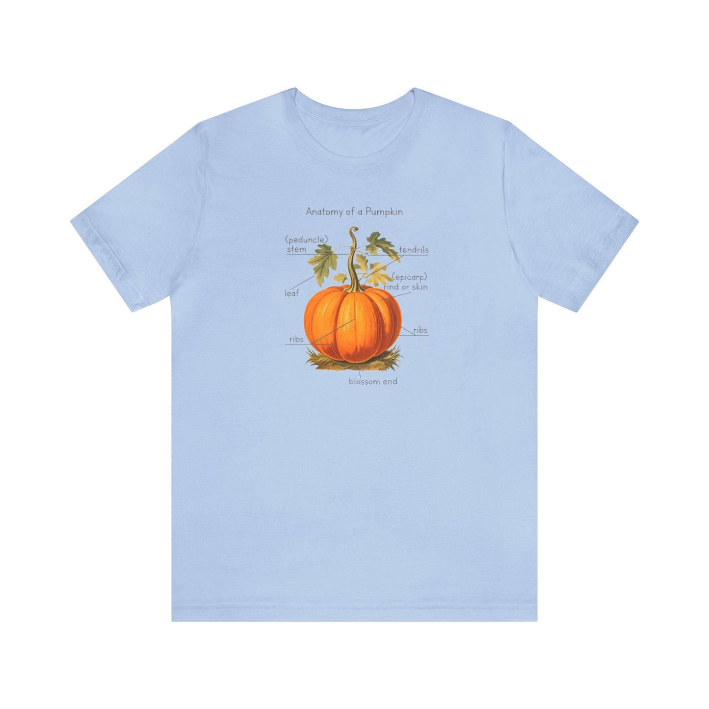 Anatomy of A Pumpkin Shirt, Fall Pumpkin Shirt, Cute Fall Shirt, Thanksgiving Shirt, Graphic Tee For Women, Teacher Fall Shirt, Autumn Shirt