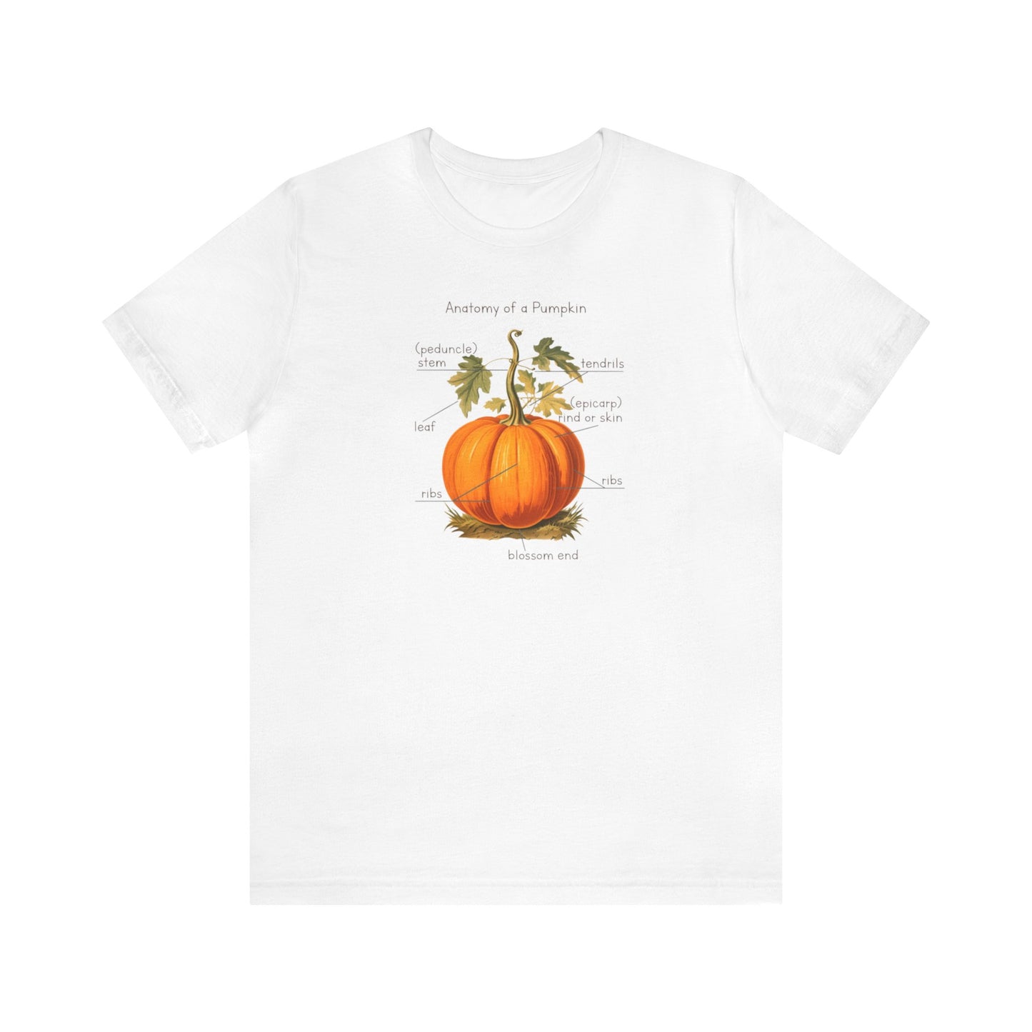 Anatomy of A Pumpkin Shirt, Fall Pumpkin Shirt, Cute Fall Shirt, Thanksgiving Shirt, Graphic Tee For Women, Teacher Fall Shirt, Autumn Shirt