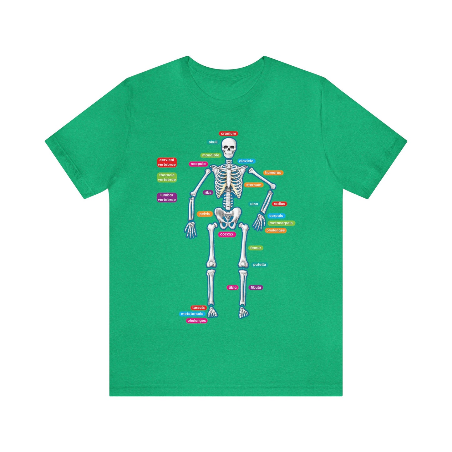 Labeled Skeleton Shirt, Anatomy Shirt, Science Teacher Shirt, Skeleton Shirt, Radiology Shirt, X-Ray Shirt, Science Lover Gift, Nerd Gift