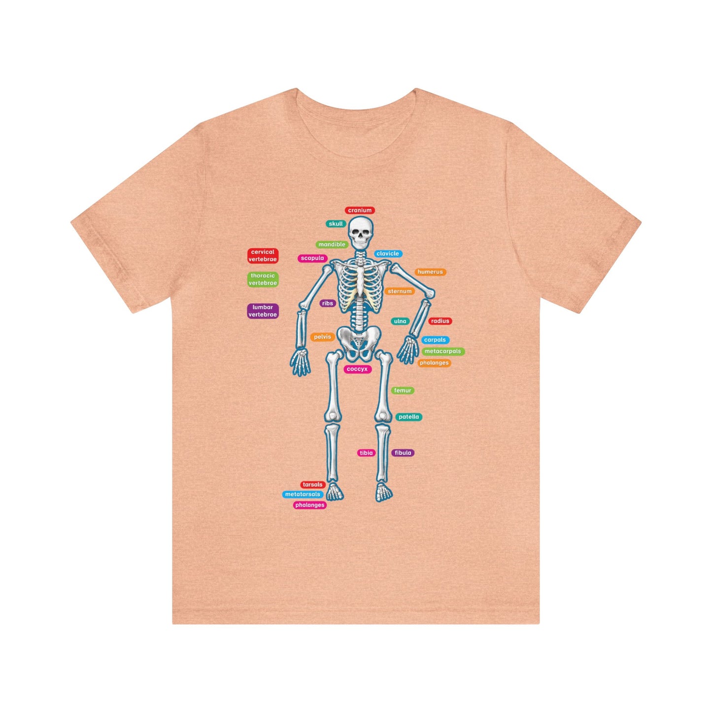 Labeled Skeleton Shirt, Anatomy Shirt, Science Teacher Shirt, Skeleton Shirt, Radiology Shirt, X-Ray Shirt, Science Lover Gift, Nerd Gift