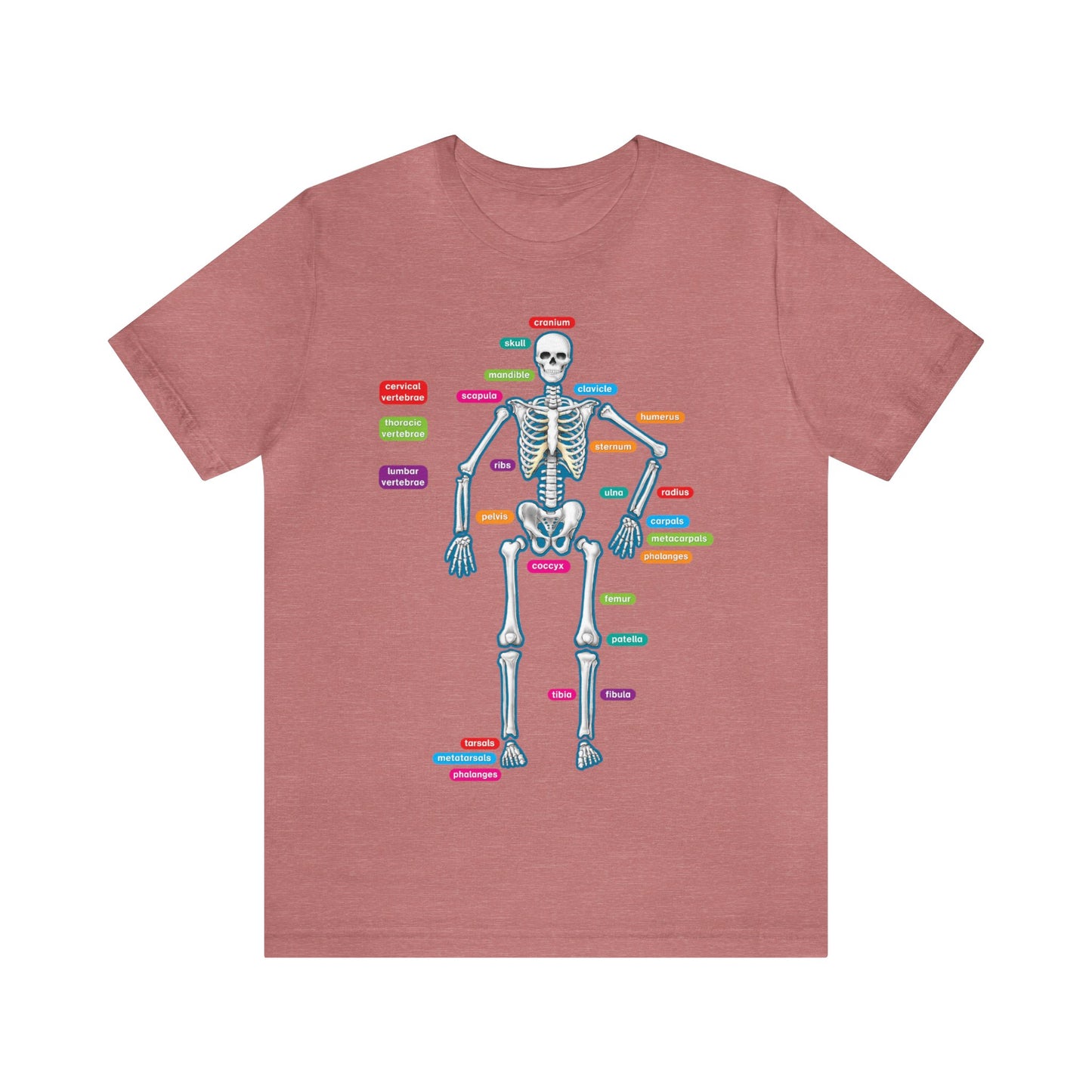 Labeled Skeleton Shirt, Anatomy Shirt, Science Teacher Shirt, Skeleton Shirt, Radiology Shirt, X-Ray Shirt, Science Lover Gift, Nerd Gift