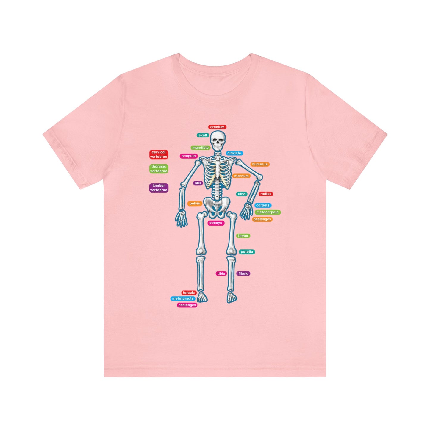 Labeled Skeleton Shirt, Anatomy Shirt, Science Teacher Shirt, Skeleton Shirt, Radiology Shirt, X-Ray Shirt, Science Lover Gift, Nerd Gift