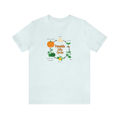 Pumpkin Life Cycle Shirt, Fall Pumpkin Shirt, Cute Fall Shirt, Thanksgiving Shirt, Shirt for Women, Teacher Fall Shirt, Autumn Shirt, Fall T