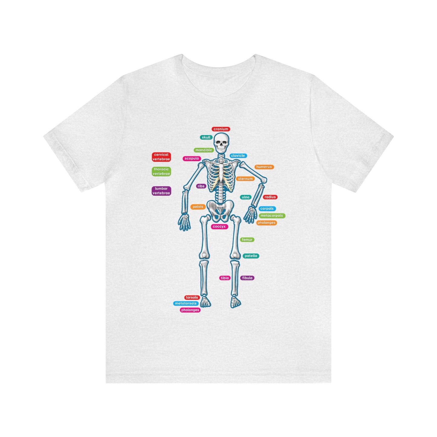 Labeled Skeleton Shirt, Anatomy Shirt, Science Teacher Shirt, Skeleton Shirt, Radiology Shirt, X-Ray Shirt, Science Lover Gift, Nerd Gift