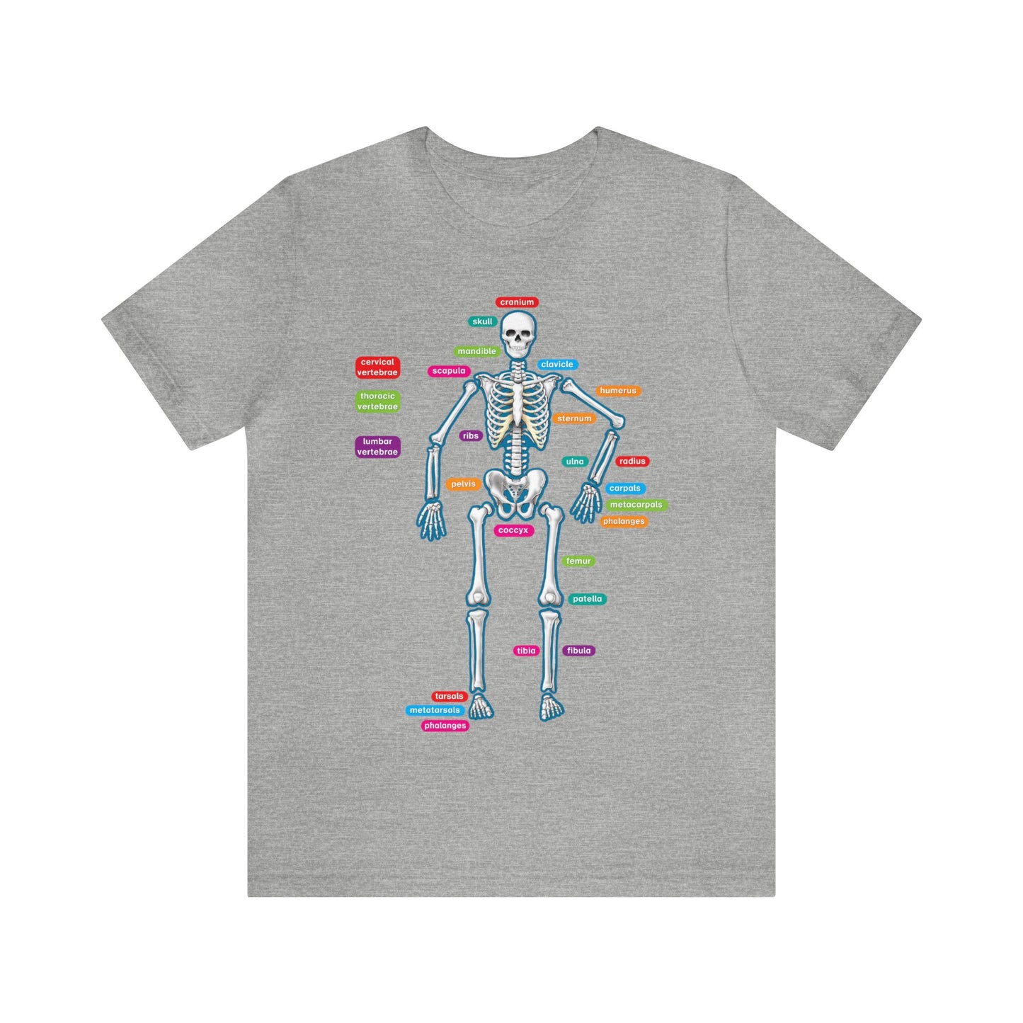 Labeled Skeleton Shirt, Anatomy Shirt, Science Teacher Shirt, Skeleton Shirt, Radiology Shirt, X-Ray Shirt, Science Lover Gift, Nerd Gift