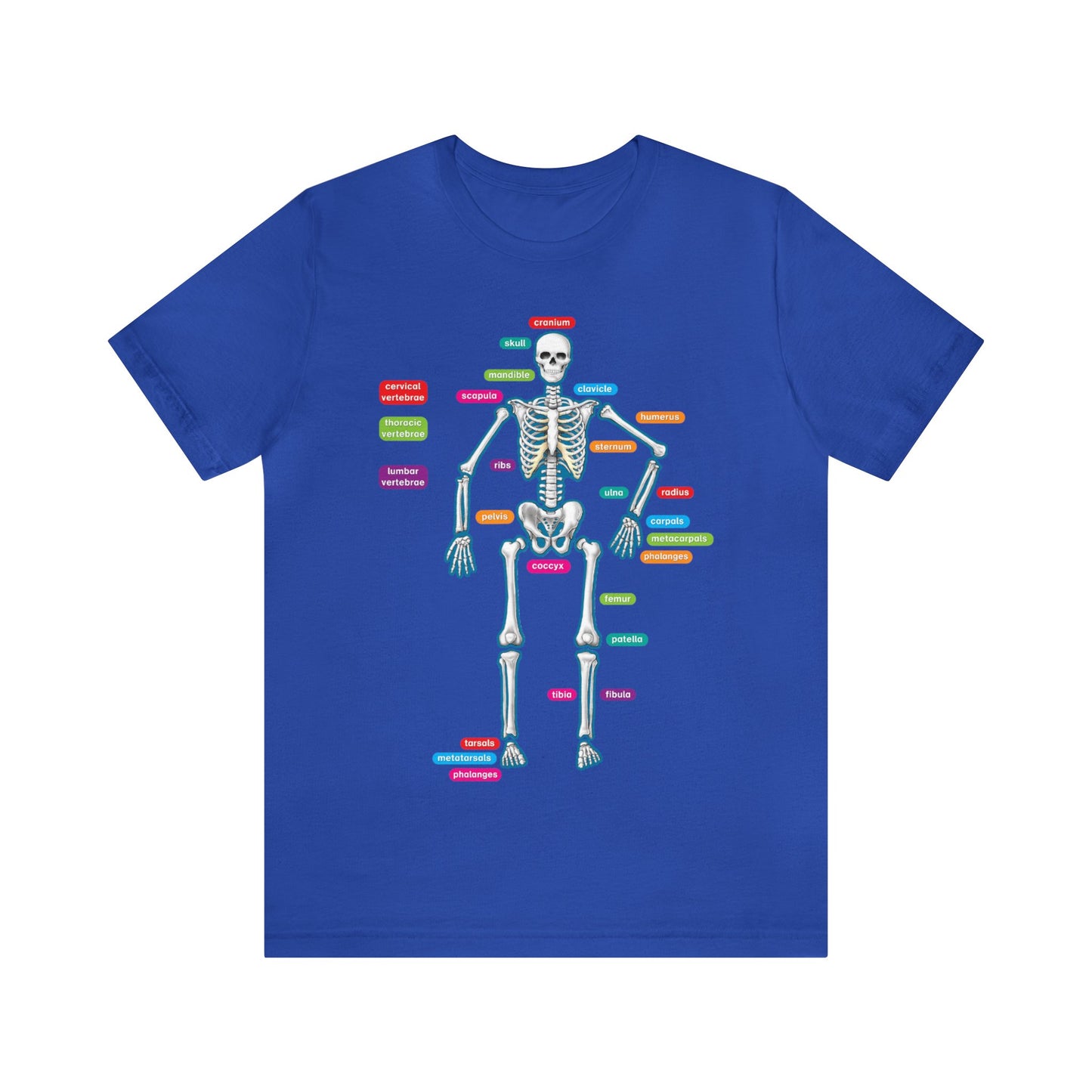 Labeled Skeleton Shirt, Anatomy Shirt, Science Teacher Shirt, Skeleton Shirt, Radiology Shirt, X-Ray Shirt, Science Lover Gift, Nerd Gift