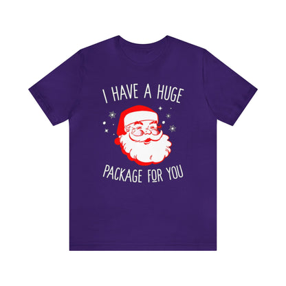 I Have A Huge Package For You Santa Shirt, Santa Claus Shirt, Christmas Shirt, Xmas Shirt, Holiday Shirt, Merry Shirt, Festive Shirt, Sack T