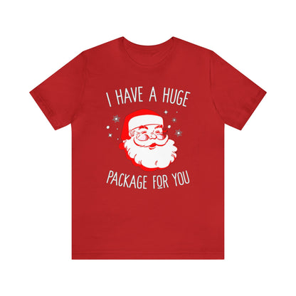 I Have A Huge Package For You Santa Shirt, Santa Claus Shirt, Christmas Shirt, Xmas Shirt, Holiday Shirt, Merry Shirt, Festive Shirt, Sack T