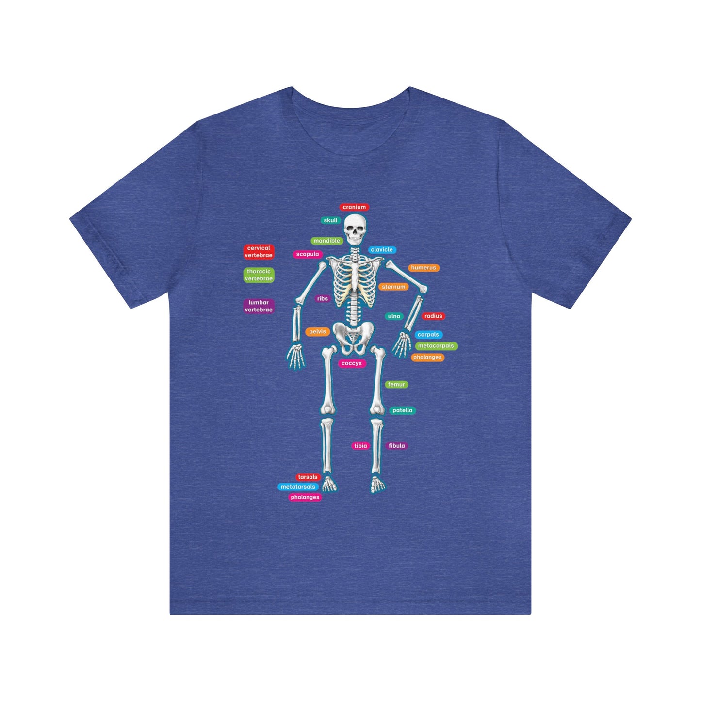 Labeled Skeleton Shirt, Anatomy Shirt, Science Teacher Shirt, Skeleton Shirt, Radiology Shirt, X-Ray Shirt, Science Lover Gift, Nerd Gift