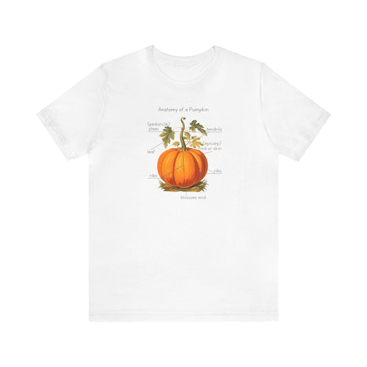 Anatomy of A Pumpkin Shirt, Fall Pumpkin Shirt, Cute Fall Shirt, Thanksgiving Shirt, Graphic Tee For Women, Teacher Fall Shirt, Autumn Shirt